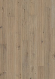 Oak_More
