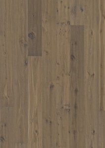 Oak_Ydre